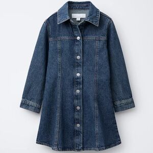Zara Denim Button-Up Dress